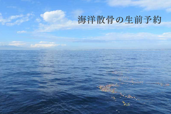 海洋散骨の生前予約