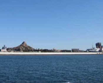 ディズニーランド沖