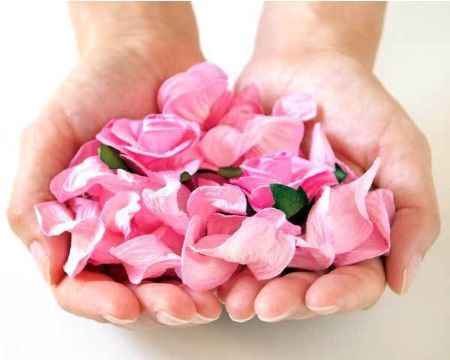 代理散骨スタンダードプラン・イメージ