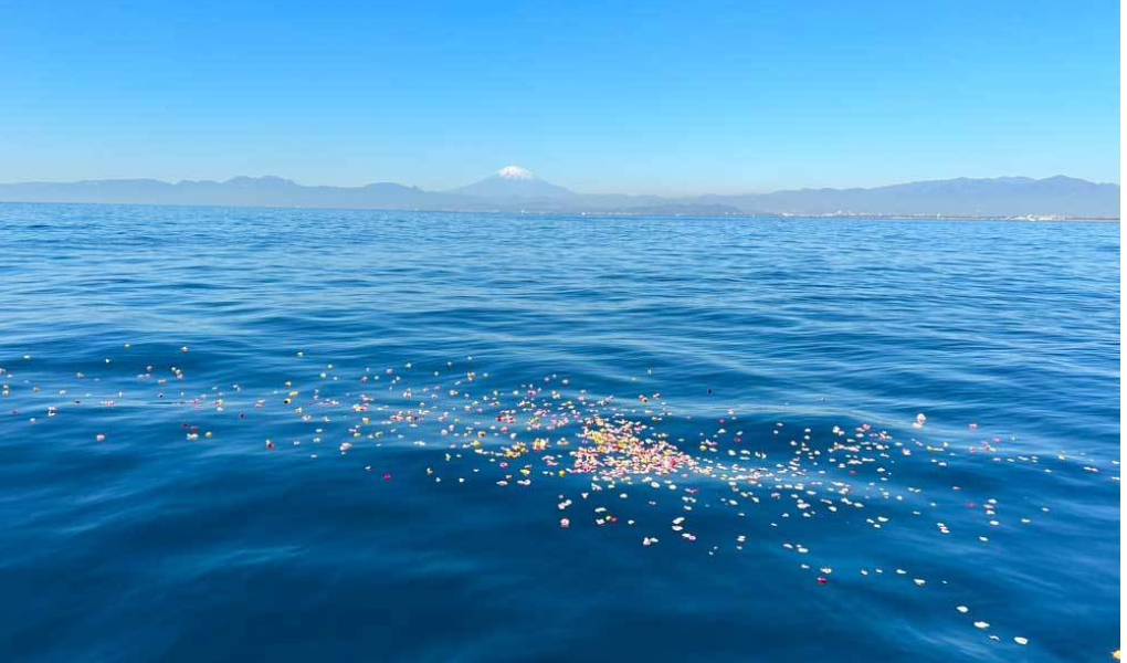 海洋散骨イメージ