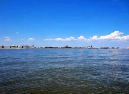 東京湾・合同散骨