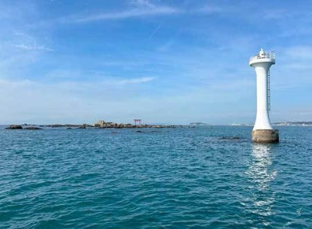 相模湾・葉山沖の合同散骨