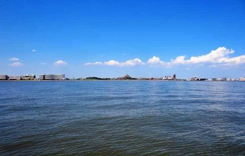 東京・委託代行散骨サービス