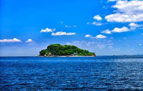 横須賀・代理散骨