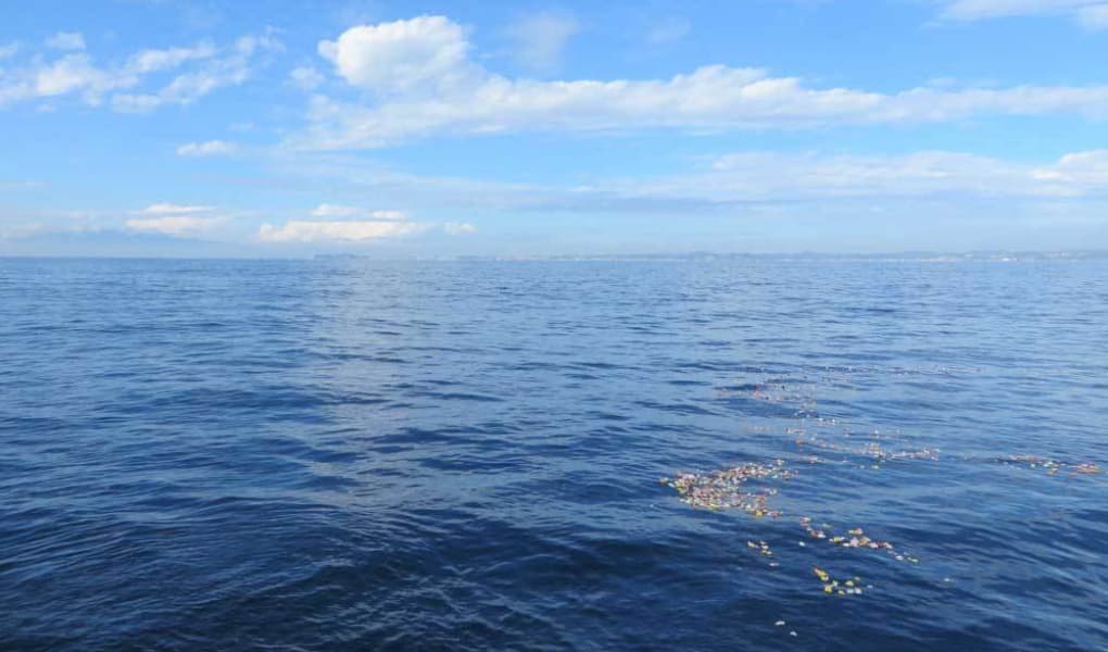 相模湾・葉山沖の海洋散骨イメージP