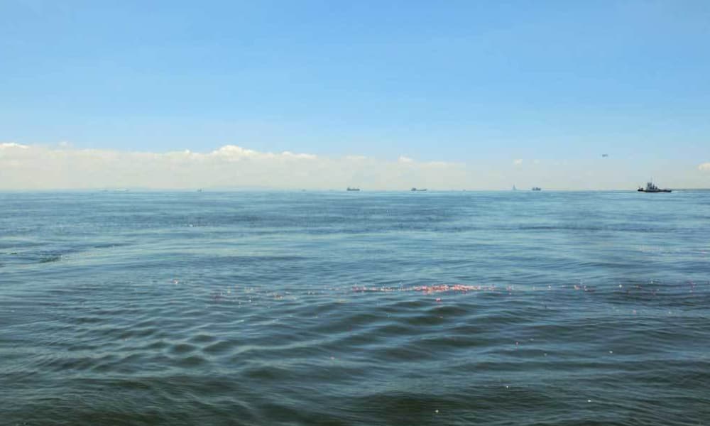 東京湾の海洋散骨イメージP