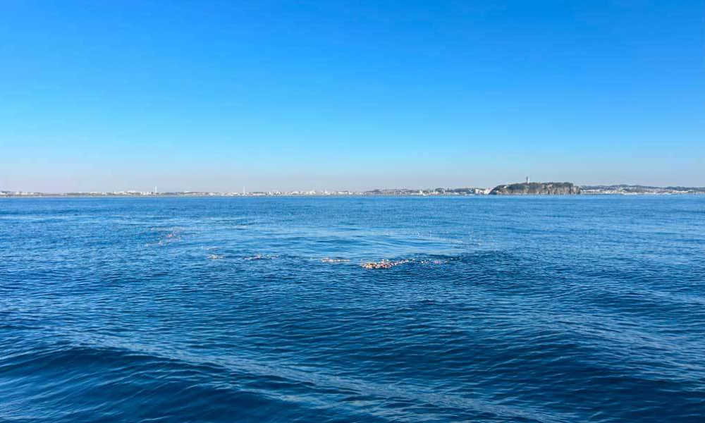 湘南・江ノ島沖の合同散骨イメージP