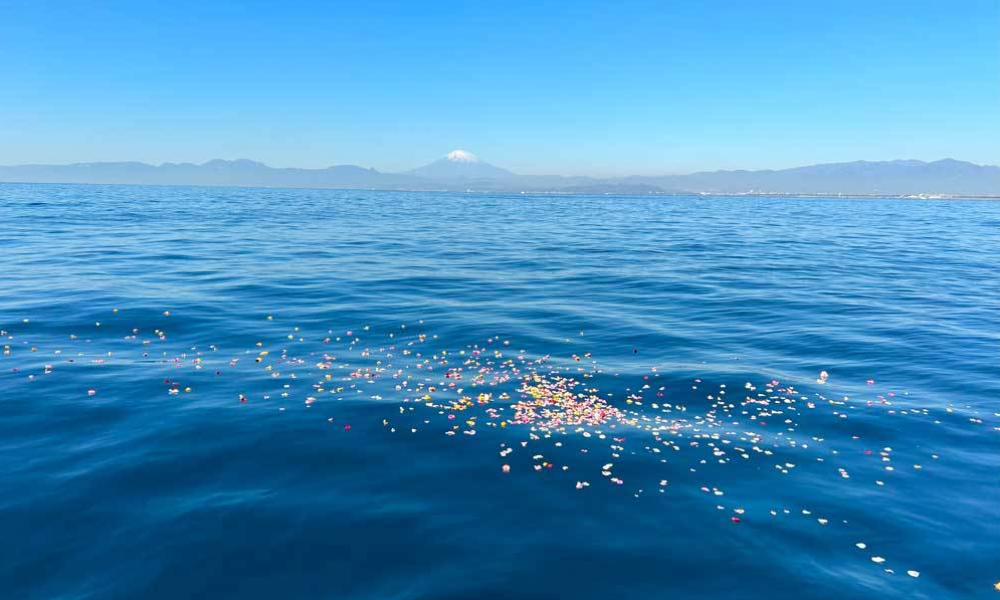 相模湾・葉山沖の合同散骨イメージP