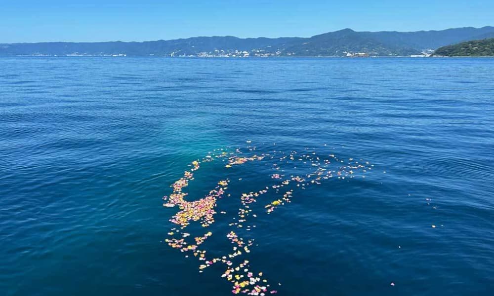 真鶴沖・海洋散骨イメージ