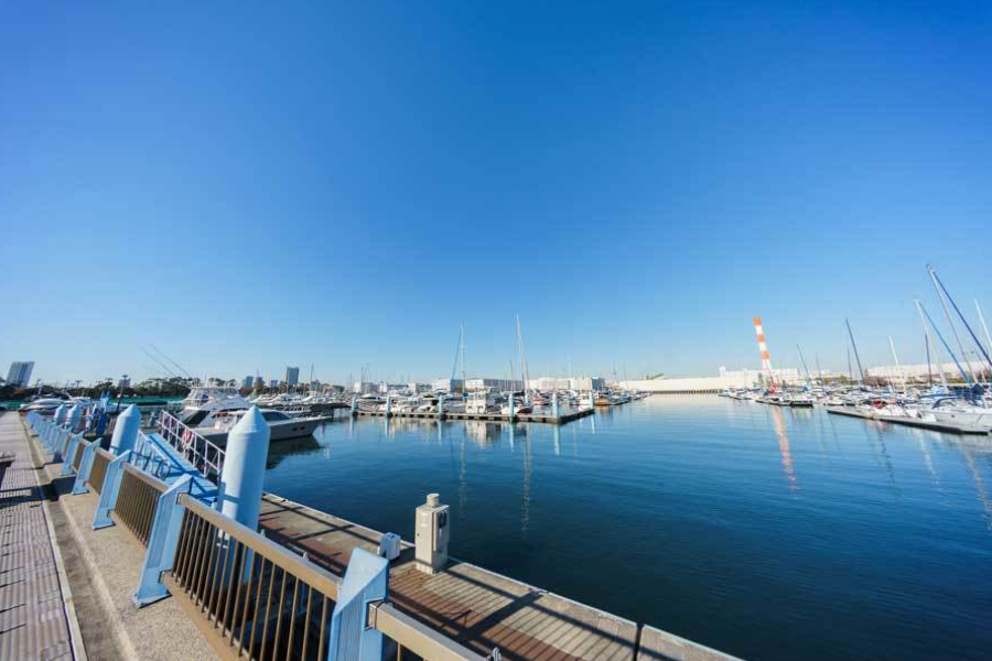 東京湾の乗船場所