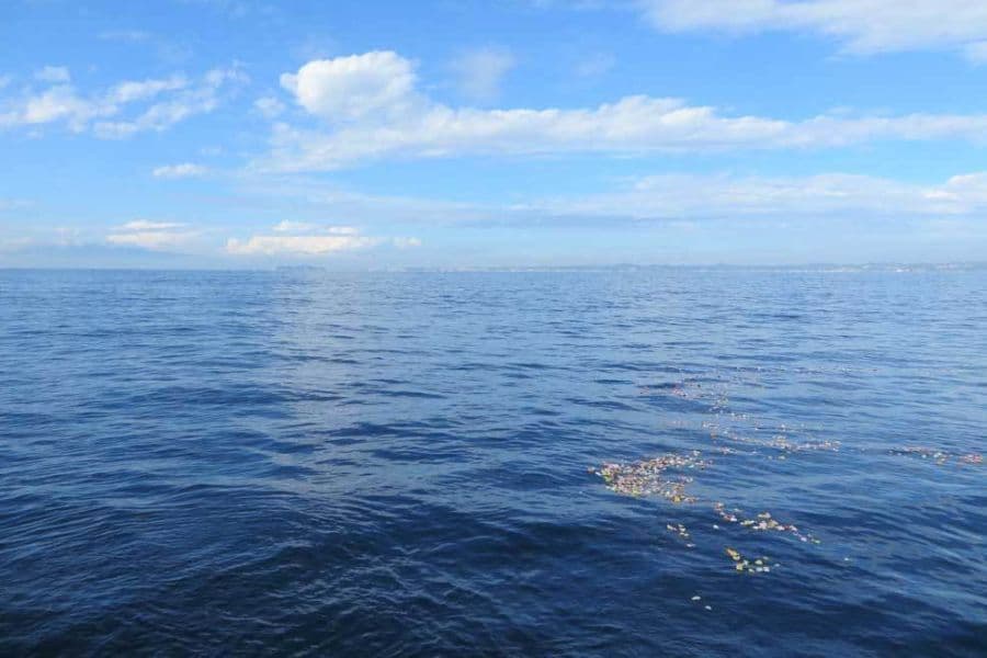 海洋散骨風景