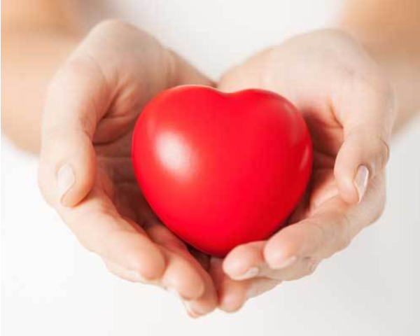 手に持ったハートは心を込めて墓じまいの遺骨を海洋散骨するイメージ