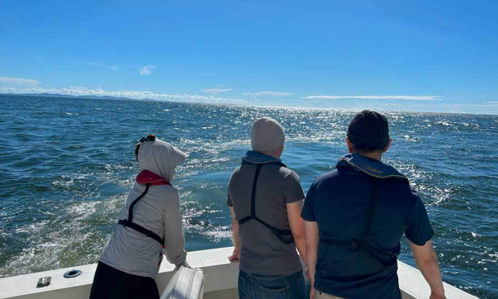 湘南・江ノ島沖の合同散骨イメージ1