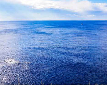佐島沖