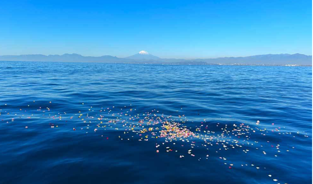 相模湾・湘南の海洋散骨イメージ