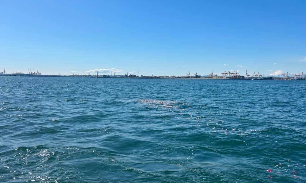 横浜・八景島沖の散骨イメージ