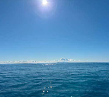 相模湾・湘南の穏やかな海に浮かぶ献花｜海洋散骨の日程と時間の選び方｜清蓮