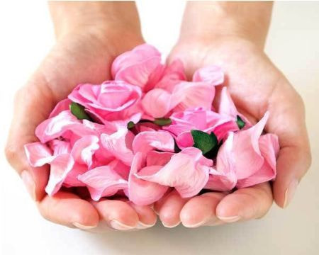 代行散骨スタンダードプランのイメージ|両手に抱えたピンクの花びらで献花して見送る