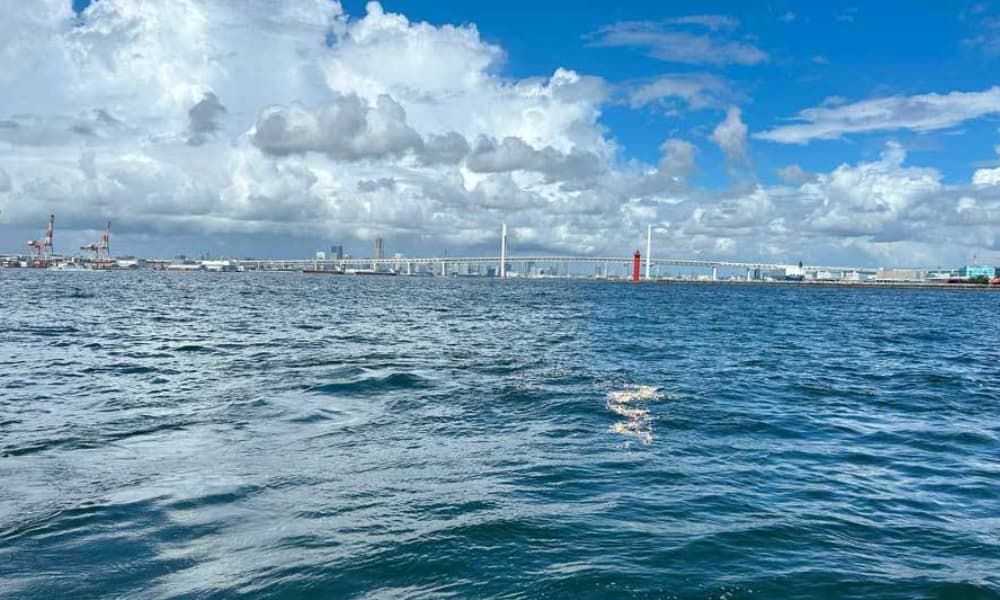 ベイブリッジ沖の海面に広がる献花と横浜の港景