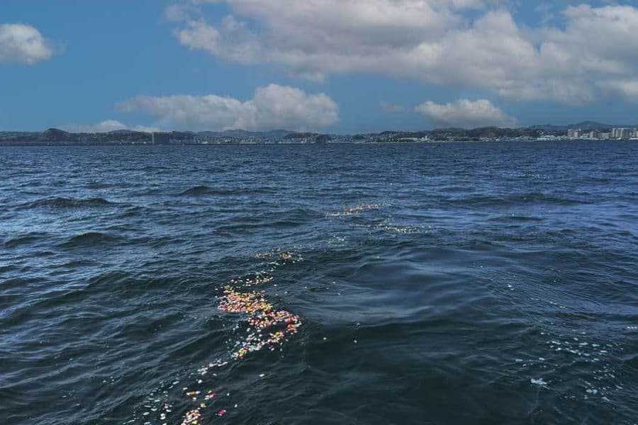 横須賀の海に広がる花びらの献花。穏やかな波に包まれ、故人を見送る海洋散骨の様子