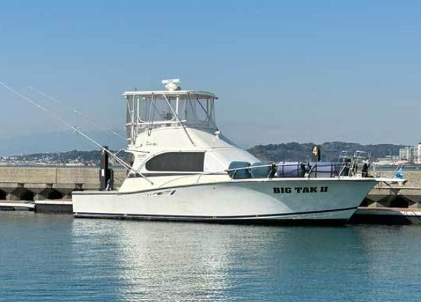 湘南エリアで利用するワイドタイプの中型クルーザー。横幅が広く安定性があり、快適に海洋散骨を行える船