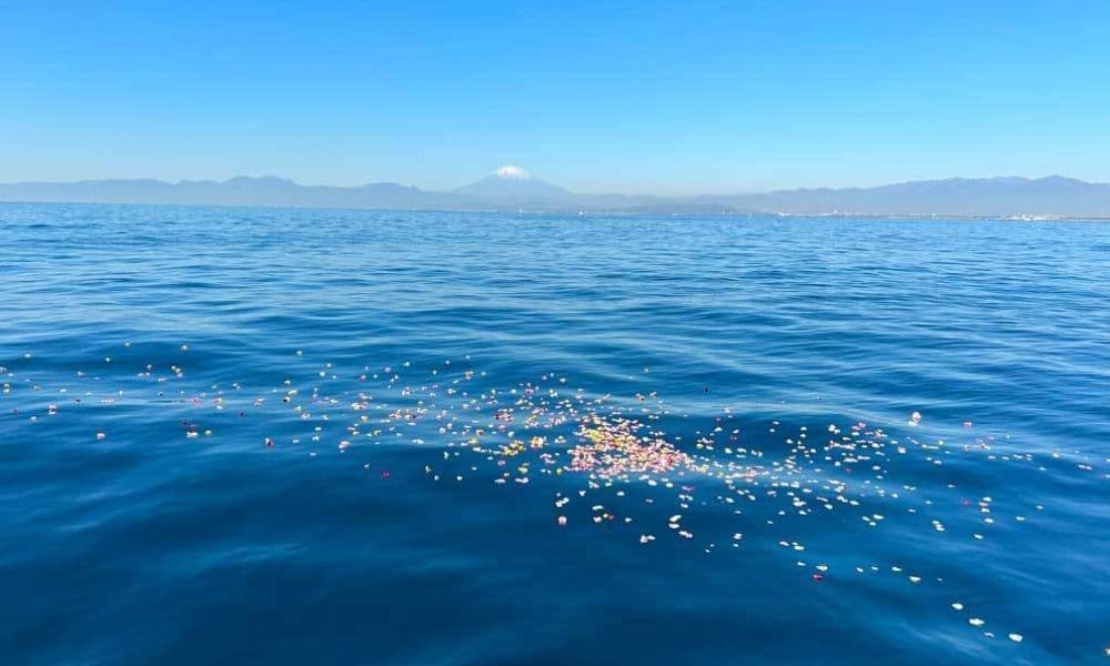 相模湾・湘南の青く澄んだ海に広がる献花と、遠くに富士山を望む美しい景色