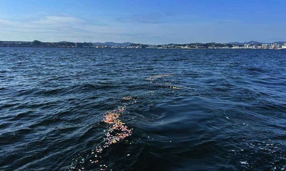 横須賀の海洋散骨で、海面に静かに広がる献花。遠くに横須賀の街並みを望みながら、穏やかな海に見守られて行うお別れの光景。