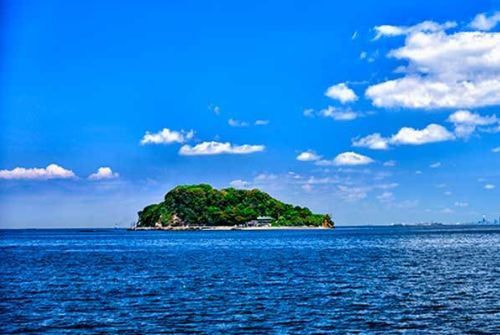 横須賀・猿島沖の合同散骨エリア|緑豊かな猿島を望む静かな海