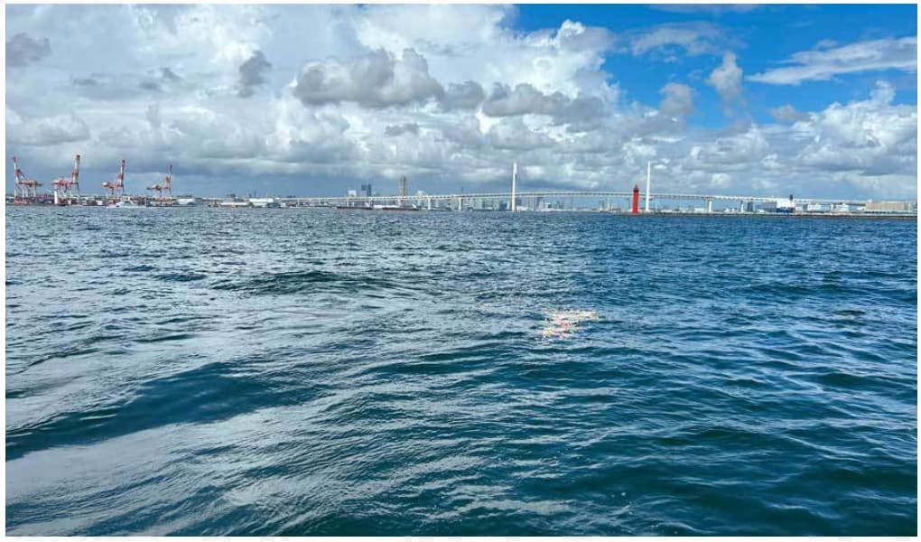 横浜・ベイブリッジ沖での代行散骨｜献花が静かに海に広がる様子