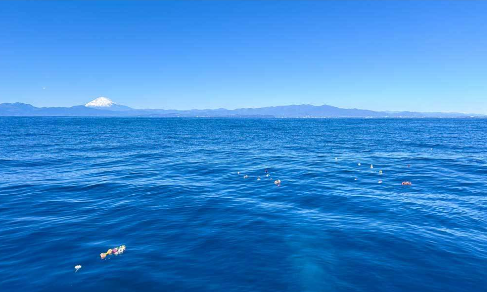 葉山沖の海洋散骨の様子。青く澄んだ相模湾に献花が浮かび、遠くには富士山が望める穏やかな風景