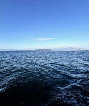 散骨を行う海域