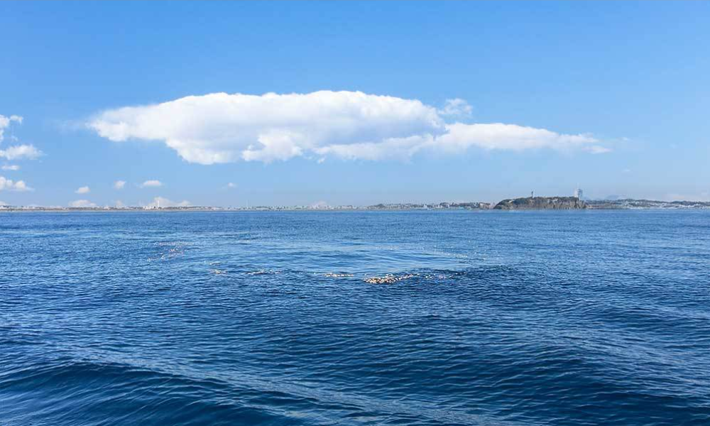 湘南・江ノ島沖の散骨エリア｜穏やかな海況の日に行う清蓮の合同散骨