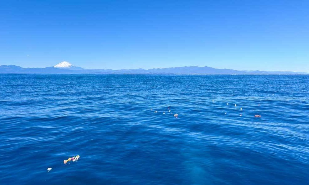 相模湾・葉山沖の合同散骨｜富士山を望む穏やかな海に献花が広がる散骨の風景