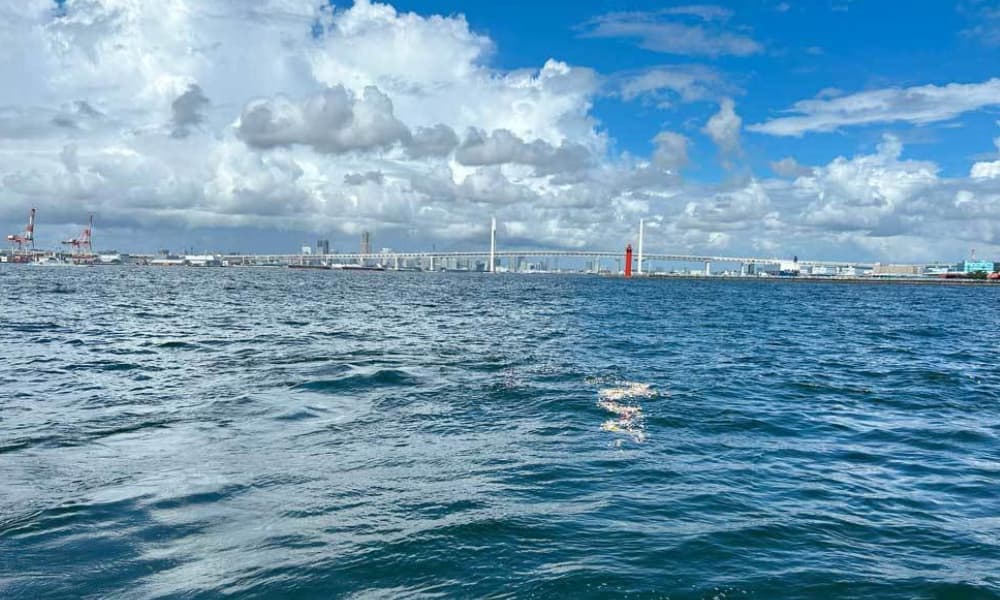横浜港の沖合で行う代理散骨の様子。穏やかな海面に献花と粉骨されたご遺骨を丁寧に手向けている場面
