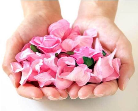 代行散骨スタンダードプランのイメージ｜両手に抱えたピンクの花びらで献花して見送る