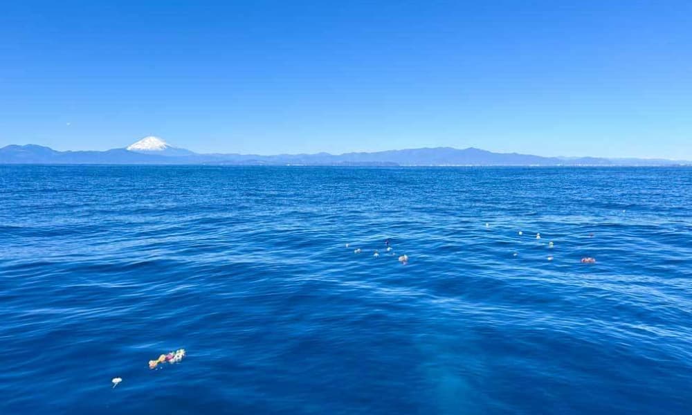 相模湾・葉山沖の代行散骨｜富士山を望む相模湾の海に献花が静かに浮かぶ様子