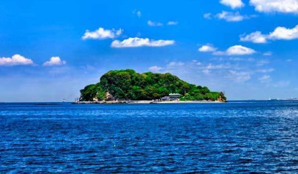 横須賀・猿島沖の散骨海域の風景