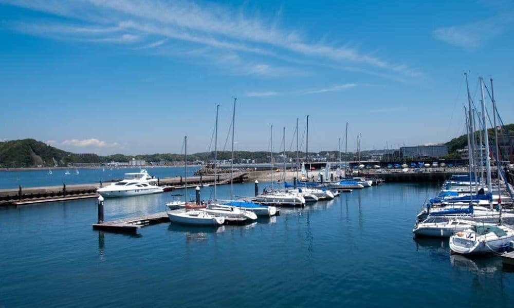 葉山マリーナから出航する鎌倉沖の海洋散骨クルーザーとヨットハーバーの風景