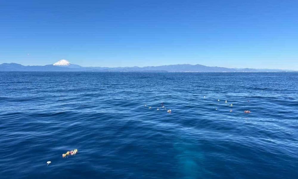 相模湾・鎌倉沖で行う貸切海洋散骨の海域と富士山を望む風景