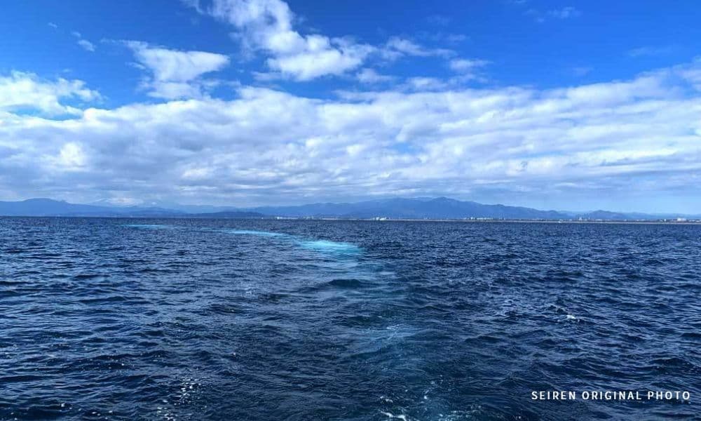 湘南・茅ヶ崎沖の相模湾で行う貸切海洋散骨の海景色