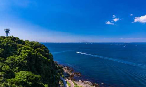 観音崎の緑の岬と東京湾の水平線、静かな航跡