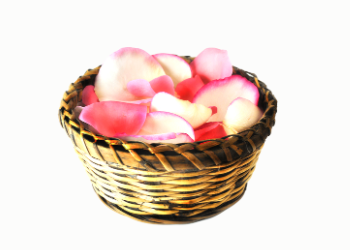 代行散骨で行う献花のイメージ｜自然に還る花びらを海へ手向けます