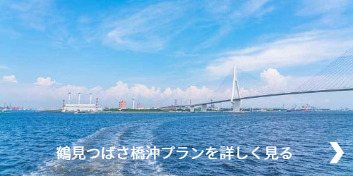 鶴見つばさ橋沖プランを詳しく見る