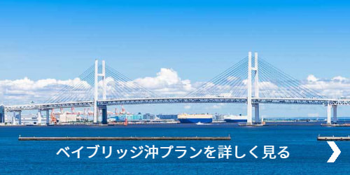 横浜ベイブリッジ沖プランを詳しく見る