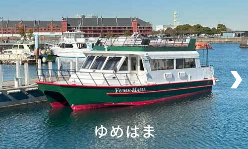 揺れない観光船「ゆめはま」