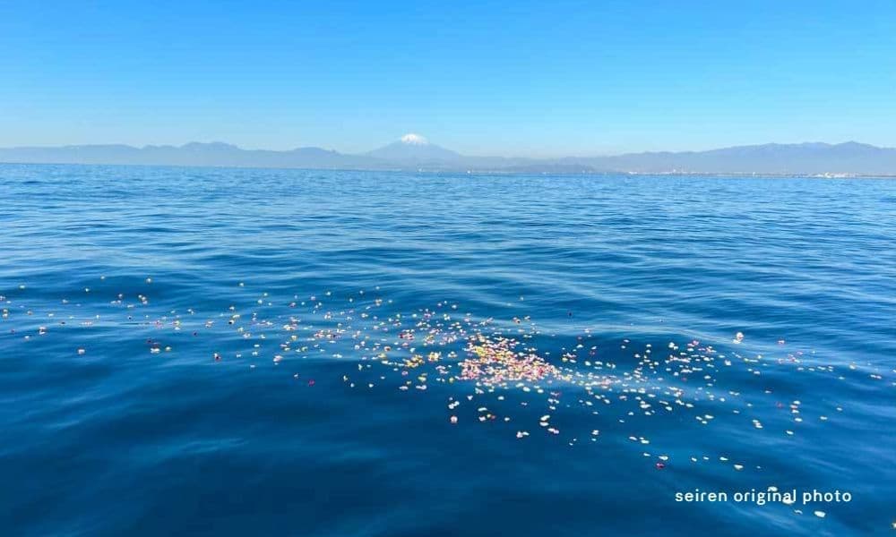 江ノ島沖で行う、花に包まれた貸切海洋散骨