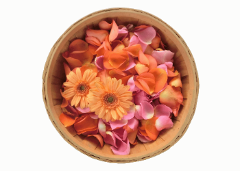 故人を華やかに送りだす献花用花びら