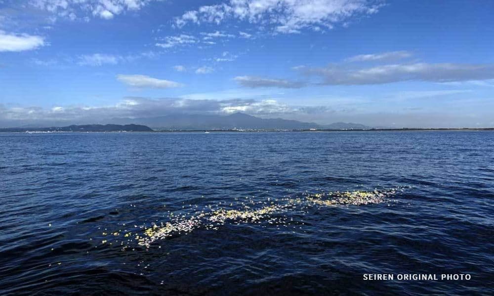 湘南・茅ヶ崎沖の相模湾で花びらを手向ける海洋散骨の様子