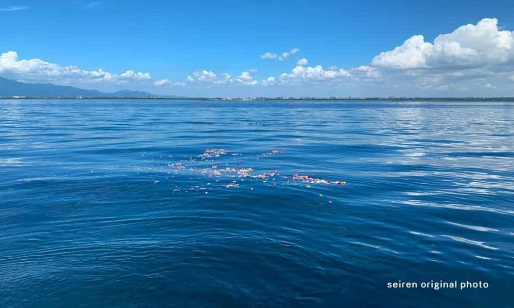 大磯沖の海洋散骨で見る穏やかな相模湾の海。静かな海面に花びらが広がり、遠くに湘南の海岸線と空が広がる散骨ポイントの風景