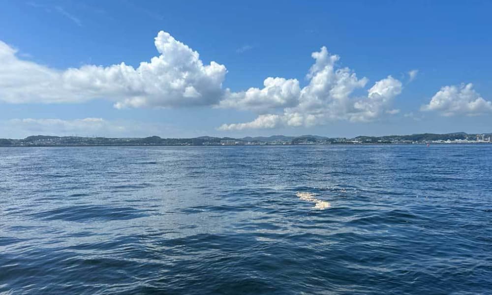 横須賀・猿島沖の海洋散骨｜貸切散骨セレモニーで故人を海へ送り出す様子